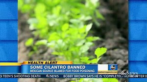 Outbreak Linked to Cilantro Leads to Import Ban