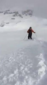 365K views · 1.3K reactions | "Last year at this time there was about 10cm of coverage in the Alpine. Today, it was skiing like January!" -Mountain Safety | Kicking Horse Mountain Resort | Facebook