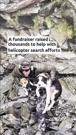 Footage shows helicopter rescuing border collie Molly after week in NZ wilderness