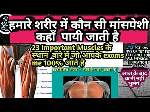 Muscles Location / हमारे शरीर में कौन सी मांसपेशी कहाँ पायी जाती है /Muscle Location On The Body/
