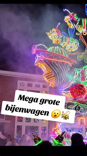 Winnaar van de verlichte optocht in Tubbergen 😮 Hebben jullie al mooie wagens gezien? #parade #optocht #carnival #carnaval