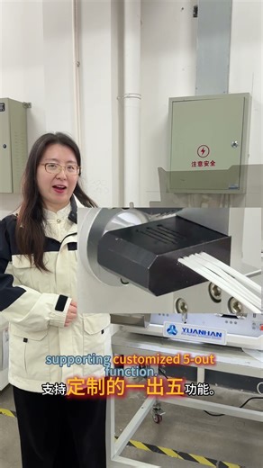 Parallel Twin Wire Cutting and Stripping Machine YH-BXFX05 - Yuanhan