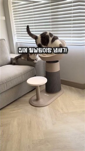 LG 에어로캣타워 리뷰｜고양이를 위한 공기청정기? 직접 써봤습니다