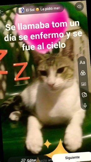 solo mis seguidores de 2024 se acordaran