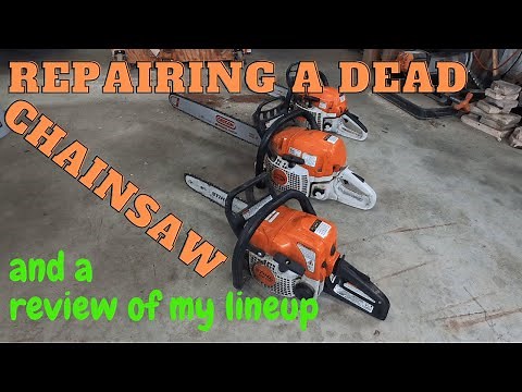 Repairing my Stihl MS 391 chainsaw and talking about my chainsaw lineup.