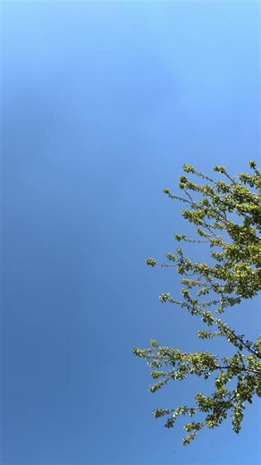 Clear sky dream of everyone living in Delhi