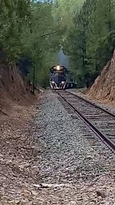 Reserva tu experiencia en el tren chepe express de Chihuahua al pacífico reserva ya 635 293 6045 ☎️ te armamos la.logistica de tu Viajes y turismo por todo México | Barrancas del cobre paseos y traslados