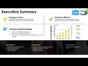 Executive Summary Ppt Presentation Examples