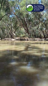 109K views · 1K reactions | Our Snobs Creek team hit the road with...