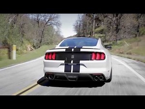 Shelby GT350 Sights & Sounds - Beauty, Exhaust, Fly-by - Everyday Driver