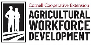 Workforce Development