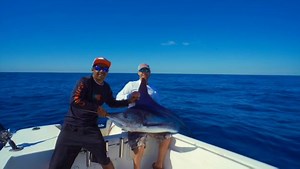 In preview of one of the episodes we will be releasing on our YouTube channel soon. Subscribe to our youtube cannel https://www.youtube.com/channel/UCacPptPQHSQTxGaBBF7KTxQ?view_as=subscriber | Tag cabo sportfishing