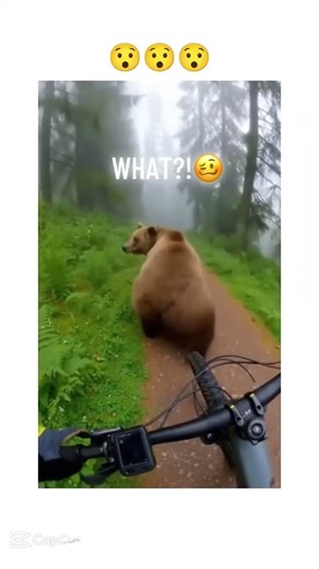 Something crazy happend on my ride…. #mtb #bear #POV #mtblife