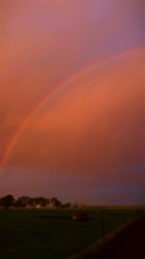 The magic that happens on farm 🌈🥰.