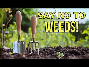 The Laziest Garden You Can Grow - Installation #lazygardenkit #growhoss #weedfreegarden