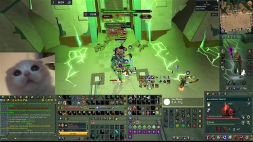 fighting mean cat - !amascut