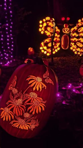 We Found a Secret Pumpkin Wonderland!