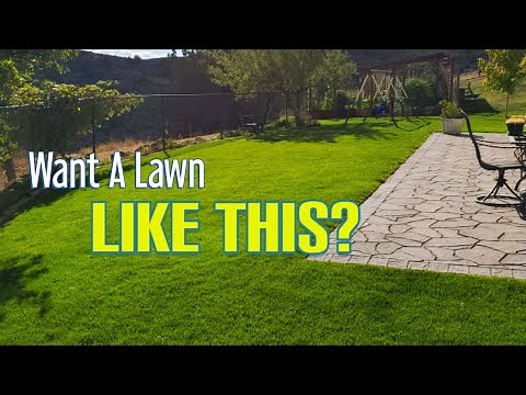 FALL Lawn Fertilization For Beginners