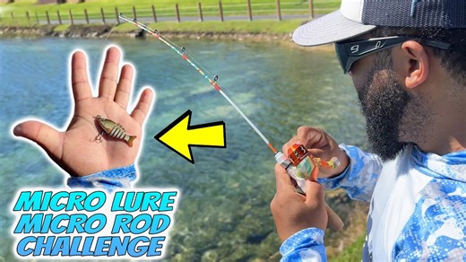 The Ultimate Micro Fishing Test: Rod and Lure Edition!