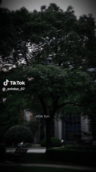 2 AM Remix - Energize Your Night with Music