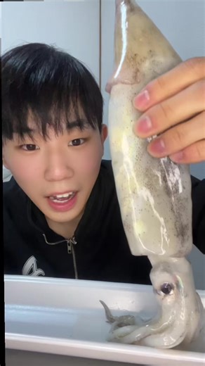 イカのASMRムクバン体験