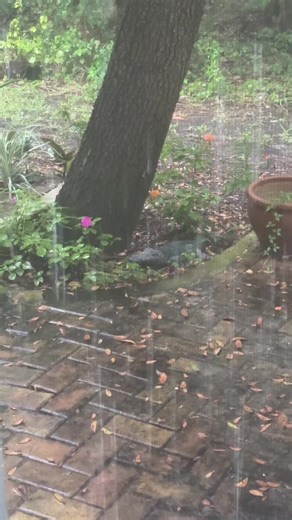 Backwards R on TikTok