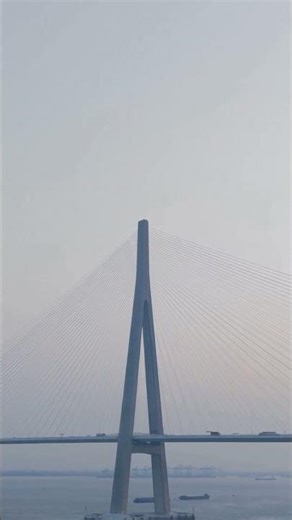 🔥 Awesome Street Traffic #CityTraffic #Viral #Shorts #BusyTraffic