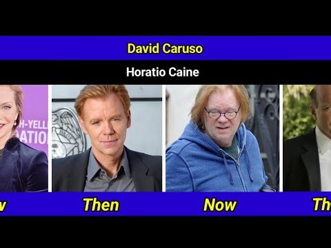 CSI Miami Cast Then and Now 2025