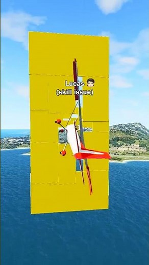 Who crashed the plane? 😂 #shorts