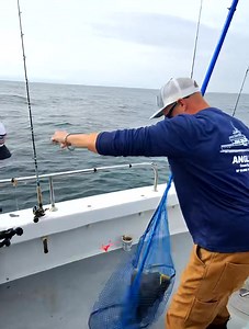 Angler Deep Sea Fishing on Reels