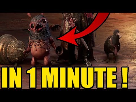 PATH OF EXILE 2 HOW to GET PETS