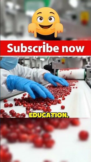 This Is How Things Are Made #factory