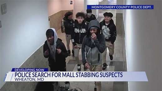 Police searching for Wheaton Mall stabbing suspects