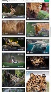 Pixabay free images download kaise kare | without copyright images