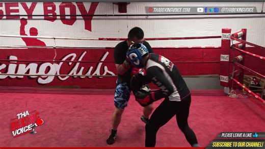 Sparring: Pawel Wolak vs. Tiger Schulmann's Danny Boy