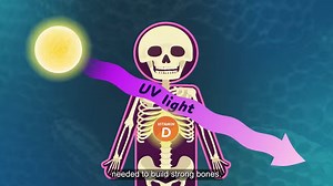 13 reactions | The gradual spectrum of skin color is not evidence of our differences, but another example of what we all share: the need for sunlight and an ability to adapt! https://youtu.be/4joZpdXeS4A | CrashCourse | Facebook