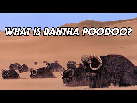 What Is Bantha Poodoo, Really?