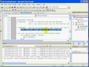 NetCOBOL for .NET Accept from Command Line plus Debug