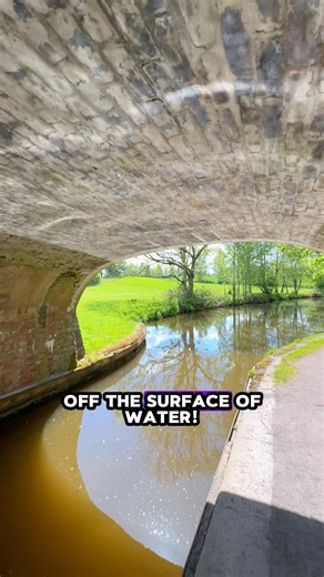 Water caustics versus a duck! #canal #bridge #rural #countryside #outdoors