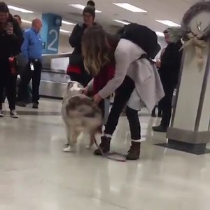 65K views · 971 reactions | 梁 {via CONTENTbible} https://bit.ly/3e9a6d4 | theCHIVE | Facebook