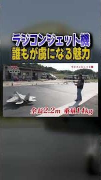 [F22] It looks just like the real thing! Shocking flight footage of a jet-engine powered RC plane...