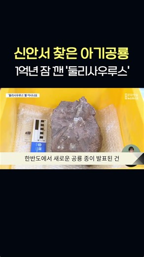 'Doolysaurus' Awakens from 100 Million Years' Sleep... Baby Dinosaur Found in Sinan #shorts