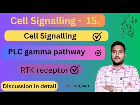 Phospholipase C Gamma Pathway || PLC gamma pathway || RTK signalling pathway || Cell signalling