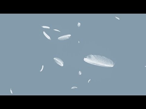 Falling Feathers for Unity