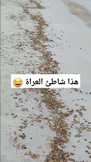 شاطئ العراة في موزمبيق 😂 #هاشتاقات #explore #fishing #mydubai #العراق #insidedubai #religion #short