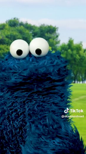 Ready to Play Ball: A Sesame Street Adventure!