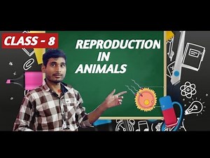 Reproduction in Animal class-8 science || NCERT CLASS -8 BIOLOGY