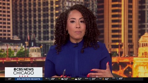 Feeding giant pandas at the National Zoo