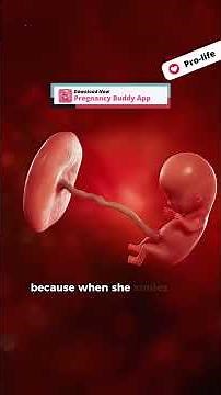 10 Weeks Pregnant That's How your 10 weeks baby looks inside the womb Pregnancy Buddy