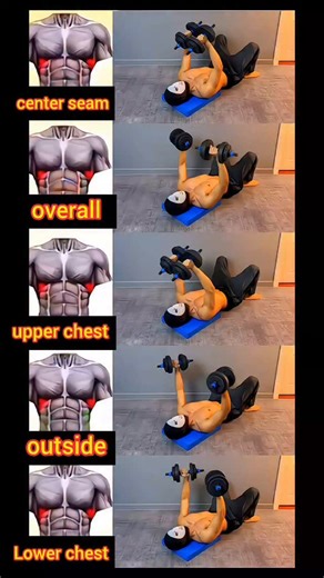 Transform your chest in just 5 minutes! 💪🔥 All you need is a pair of dumbbells to build serious muscle from home. This quick but effective workout targets your entire chest - perfect for busy schedules or when you can't make it to the gym. ✅ No bench needed ✅ Beginner-friendly ✅ Fast results ✅ Follow along format Save this for your next chest day! 🔥 Drop a 💪 if you're ready to build a stronger chest! 👉 Follow @EdusGymOfficial for daily workout tips 🔔 Turn on post notifications so you never
